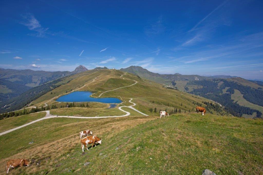 Garni Roesslhof Hotel Холерсбах им Пинцгау Екстериор снимка